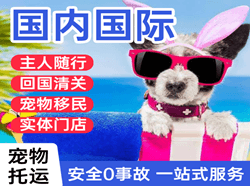 桂林航空快递国际宠物托运 【国